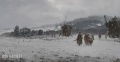 Iron harvest art20.jpg